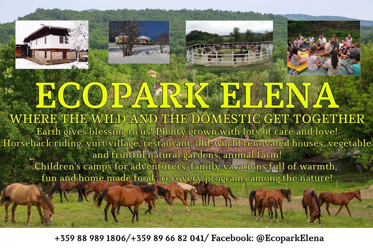 Ecopark Elena Hotel Exterior foto