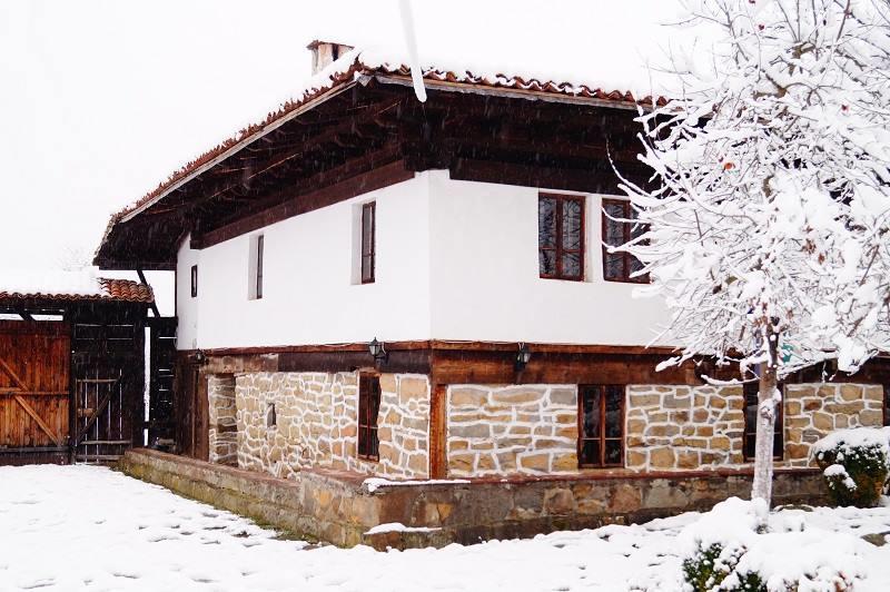 Ecopark Elena Hotel Exterior foto